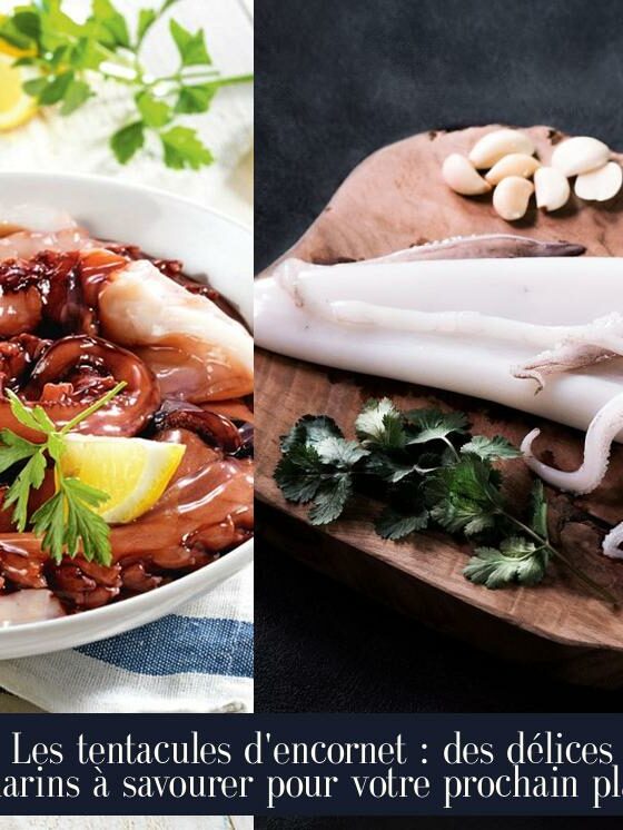 Les tentacules d'encornet : des délices marins à savourer pour votre prochain plat