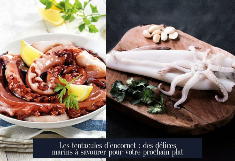 Les tentacules d'encornet : des délices marins à savourer pour votre prochain plat