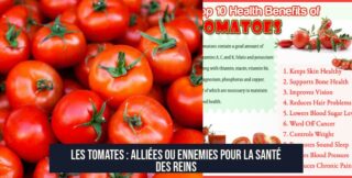 Les tomates : alliées ou ennemies pour la santé des reins