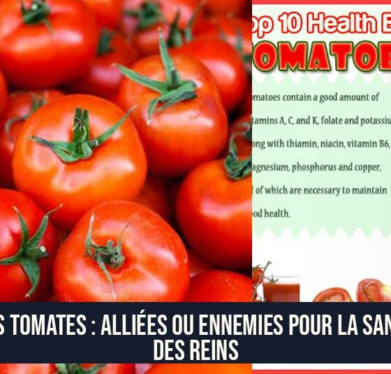 Les tomates : alliées ou ennemies pour la santé des reins
