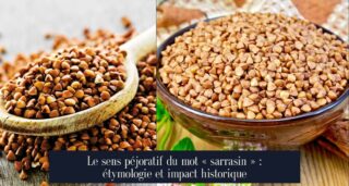 Le sens péjoratif du mot « sarrasin » : étymologie et impact historique