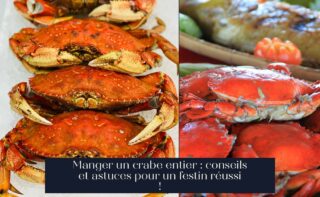 Manger un crabe entier : conseils et astuces pour un festin réussi !
