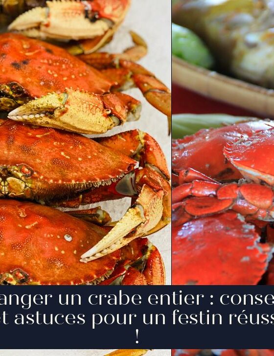 Manger un crabe entier : conseils et astuces pour un festin réussi !