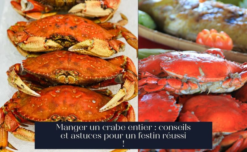 Manger un crabe entier : conseils et astuces pour un festin réussi !