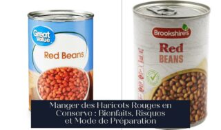 Manger des Haricots Rouges en Conserve : Bienfaits, Risques et Mode de Préparation