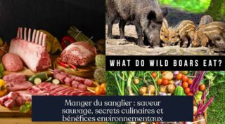 Manger du sanglier : saveur sauvage, secrets culinaires et bénéfices environnementaux