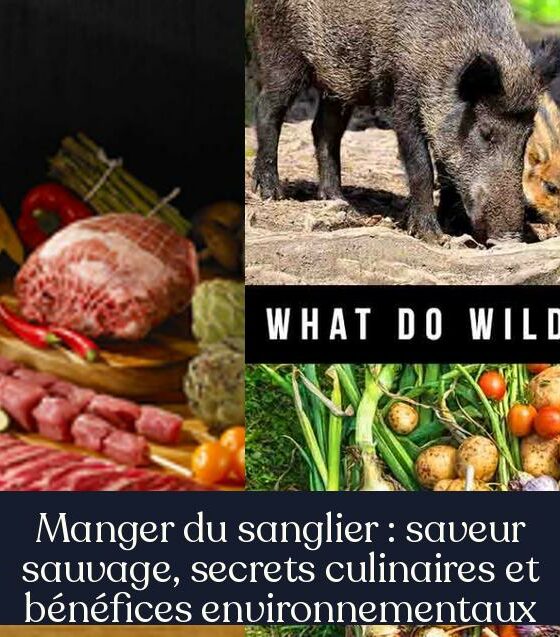 Manger du sanglier : saveur sauvage, secrets culinaires et bénéfices environnementaux