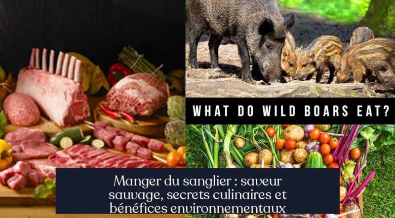 Manger du sanglier : saveur sauvage, secrets culinaires et bénéfices environnementaux