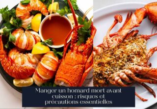 Manger un homard mort avant cuisson : risques et précautions essentielles