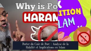 Porter du Cuir de Porc : Analyse de la Halalité et Implications en Islam