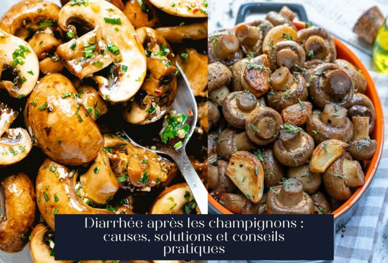Diarrhée après les champignons : causes, solutions et conseils pratiques