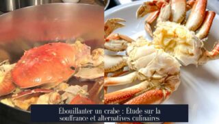 Ébouillanter un crabe : Étude sur la souffrance et alternatives culinaires