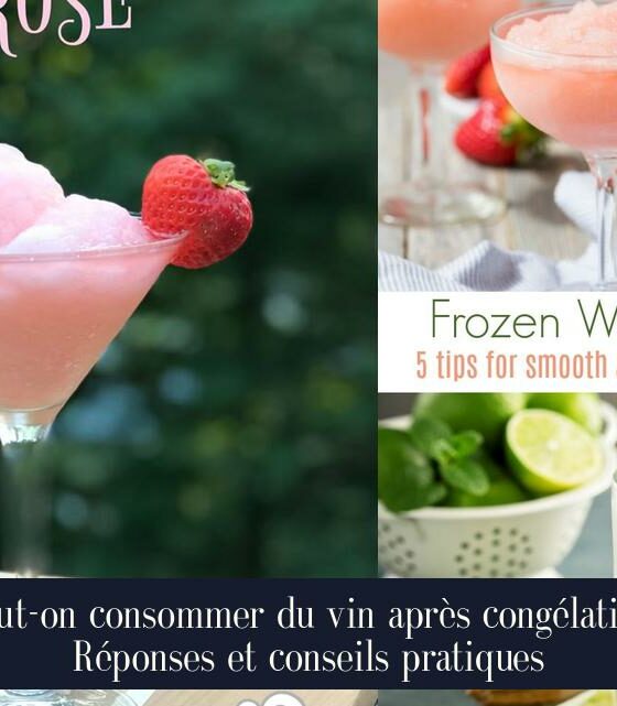 Peut-on consommer du vin après congélation Réponses et conseils pratiques