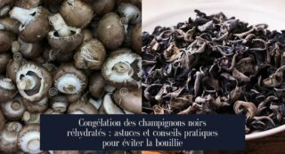 Congélation des champignons noirs réhydratés : astuces et conseils pratiques pour éviter la bouillie