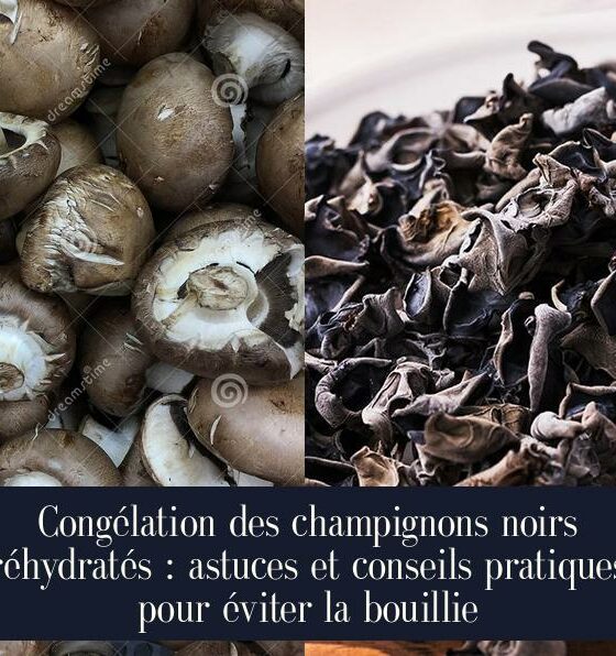 Congélation des champignons noirs réhydratés : astuces et conseils pratiques pour éviter la bouillie