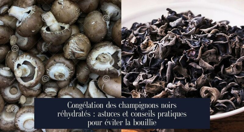 Congélation des champignons noirs réhydratés : astuces et conseils pratiques pour éviter la bouillie
