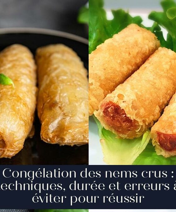 Congélation des nems crus : techniques, durée et erreurs à éviter pour réussir