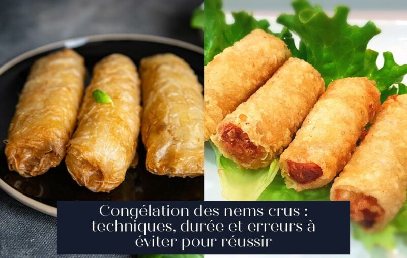 Congélation des nems crus : techniques, durée et erreurs à éviter pour réussir