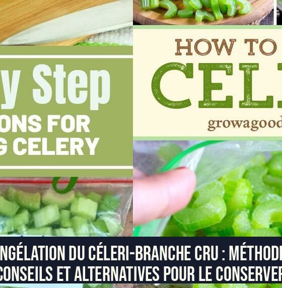 Congélation du céleri-branche cru : méthodes, conseils et alternatives pour le conserver