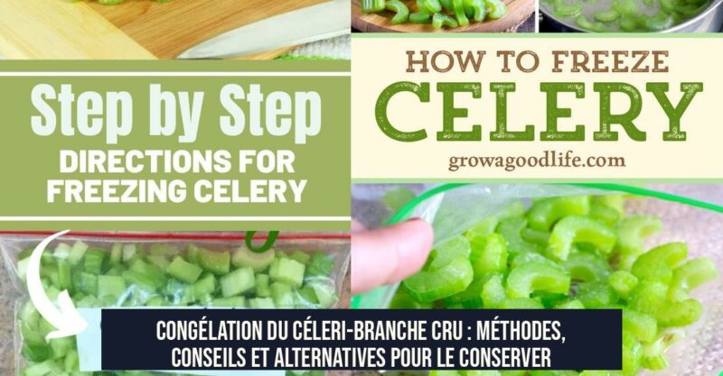 Congélation du céleri-branche cru : méthodes, conseils et alternatives pour le conserver