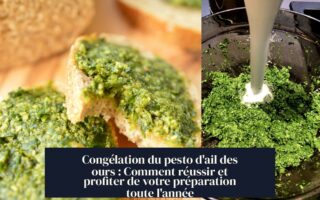 Congélation du pesto d'ail des ours : Comment réussir et profiter de votre préparation toute l'année