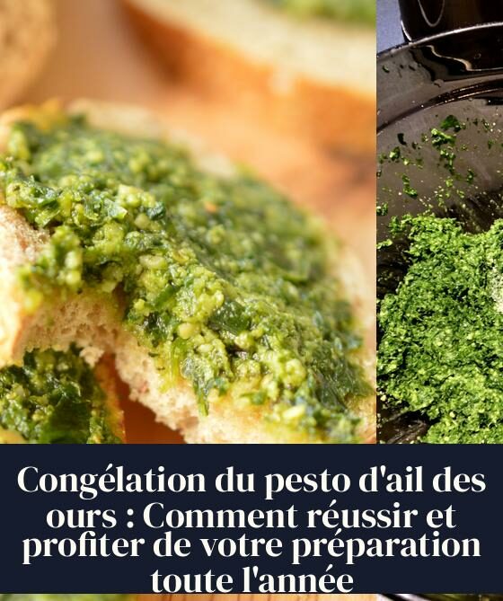 Congélation du pesto d'ail des ours : Comment réussir et profiter de votre préparation toute l'année