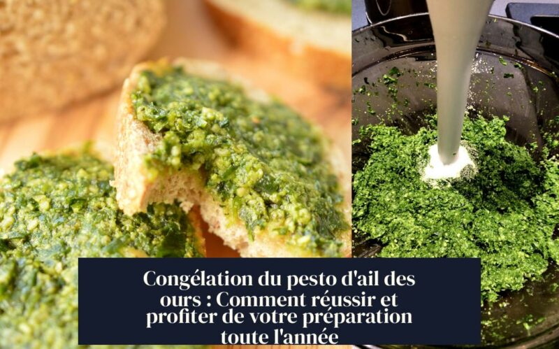 Congélation du pesto d'ail des ours : Comment réussir et profiter de votre préparation toute l'année