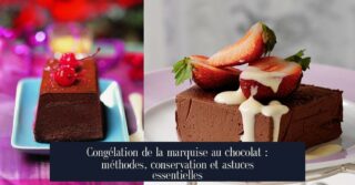Congélation de la marquise au chocolat : méthodes, conservation et astuces essentielles