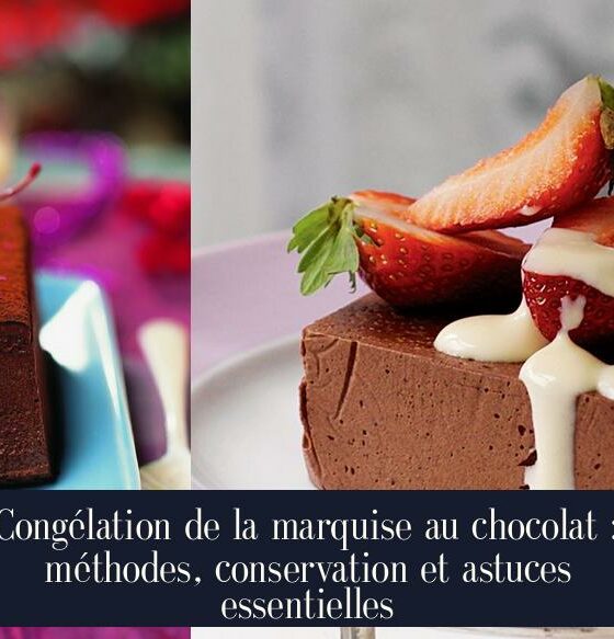 Congélation de la marquise au chocolat : méthodes, conservation et astuces essentielles