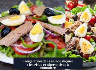 Congélation de la salade niçoise : les risks et alternatives à connaître