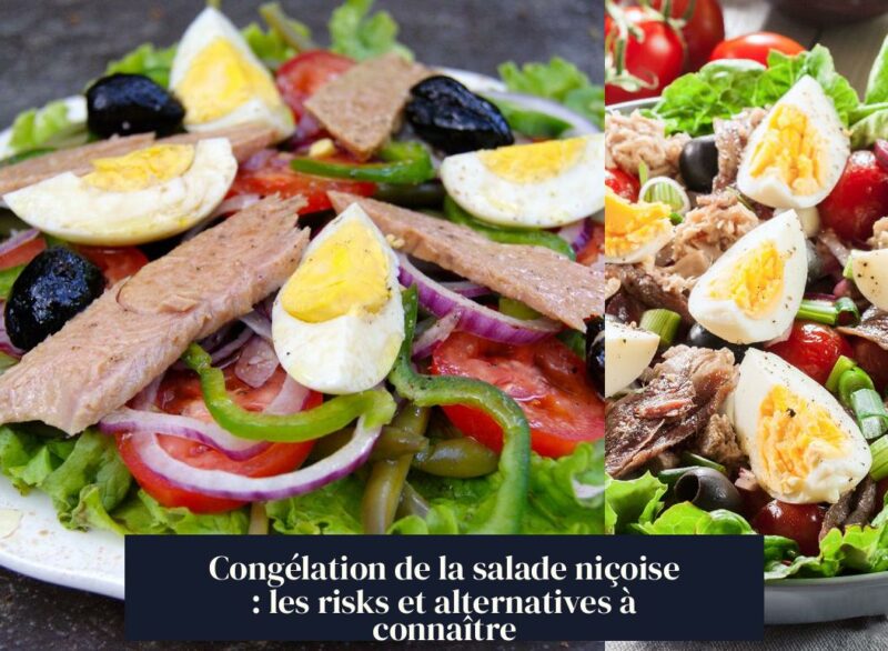 Congélation de la salade niçoise : les risks et alternatives à connaître