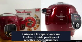 Cuisson à la vapeur avec un Cookeo : Guide pratique et recettes incontournables