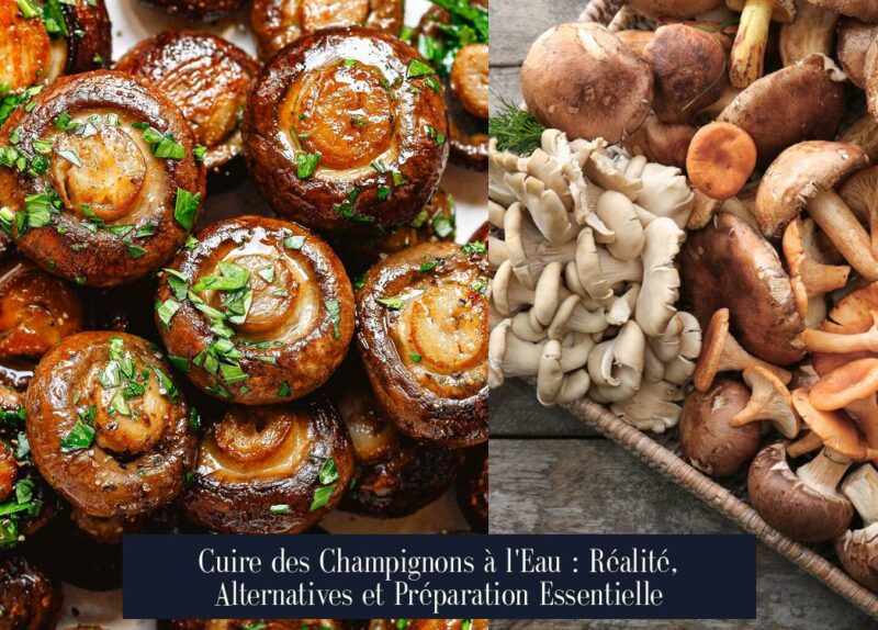Cuire des Champignons à l'Eau : Réalité, Alternatives et Préparation Essentielle