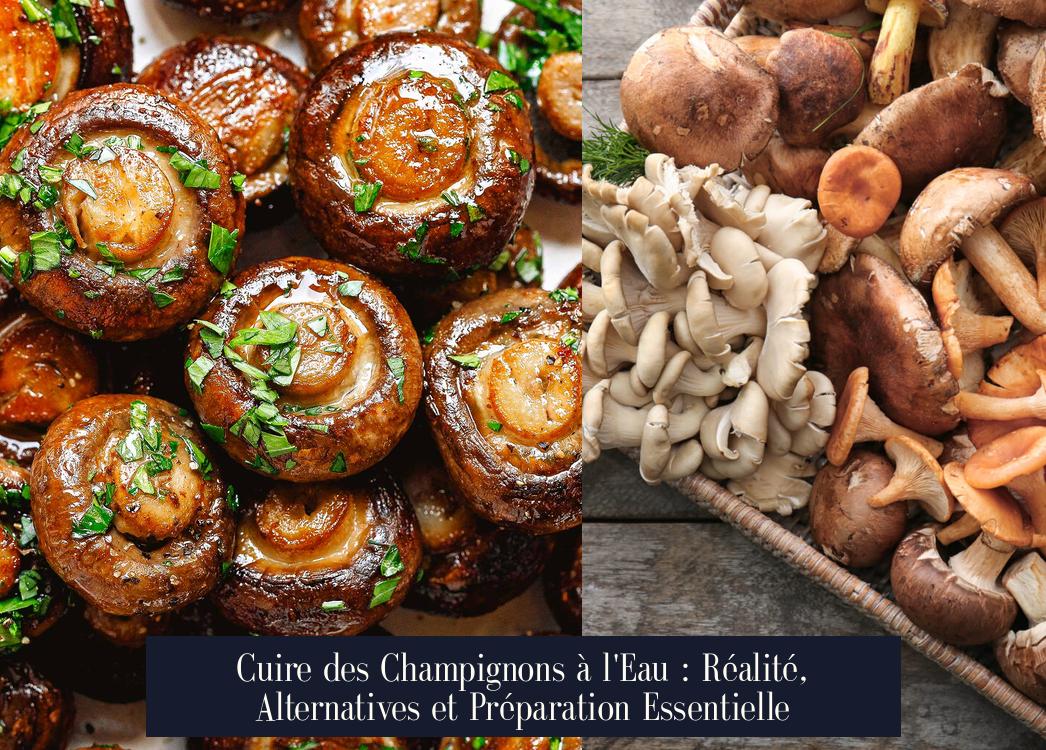 Cuire des Champignons à l'Eau : Réalité, Alternatives et Préparation Essentielle