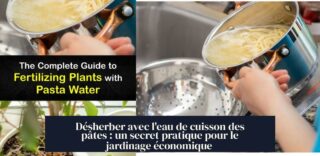 Désherber avec l'eau de cuisson des pâtes : un secret pratique pour le jardinage économique