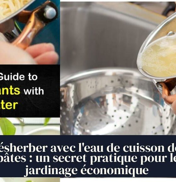 Désherber avec l'eau de cuisson des pâtes : un secret pratique pour le jardinage économique