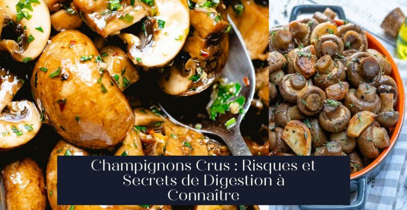 Champignons Crus : Risques et Secrets de Digestion à Connaître