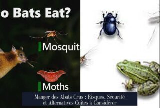 Manger des Abats Crus : Risques, Sécurité et Alternatives Cuites à Considérer