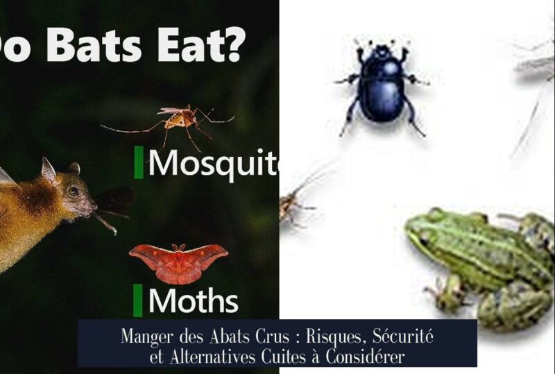 Manger des Abats Crus : Risques, Sécurité et Alternatives Cuites à Considérer