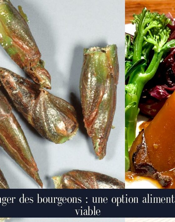 Manger des bourgeons : une option alimentaire viable