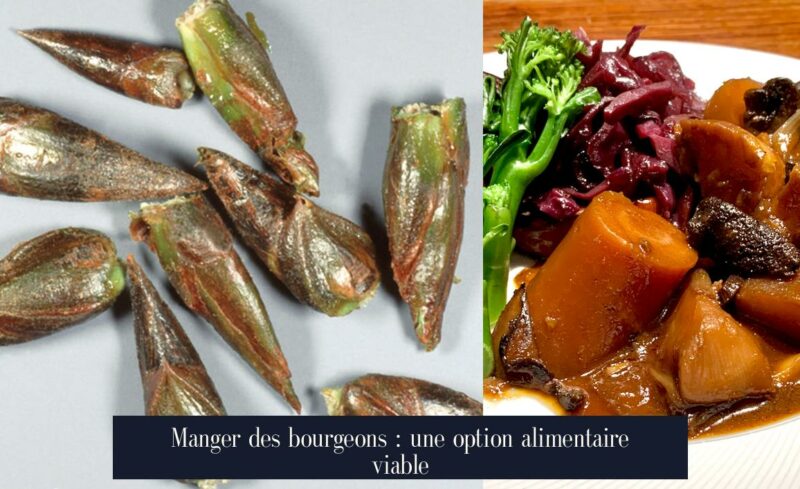 Manger des bourgeons : une option alimentaire viable