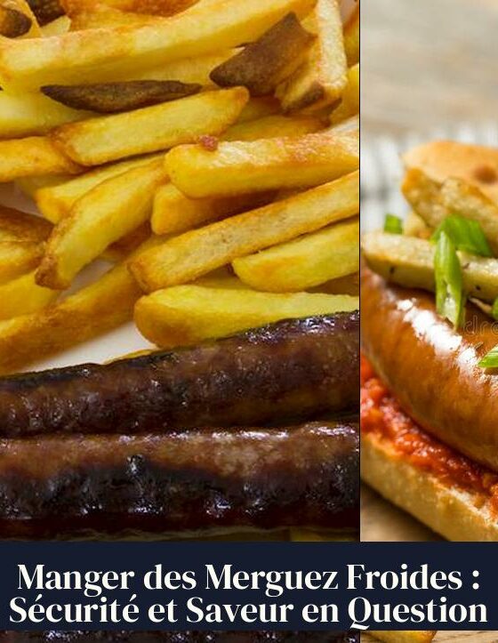 Manger des Merguez Froides : Sécurité et Saveur en Question