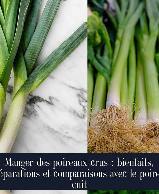Manger des poireaux crus : bienfaits, préparations et comparaisons avec le poireau cuit