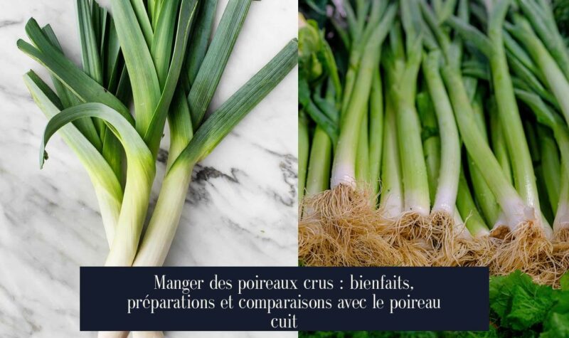 Manger des poireaux crus : bienfaits, préparations et comparaisons avec le poireau cuit