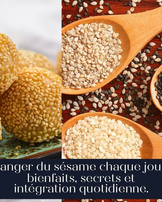 Manger du sésame chaque jour : bienfaits, secrets et intégration quotidienne.