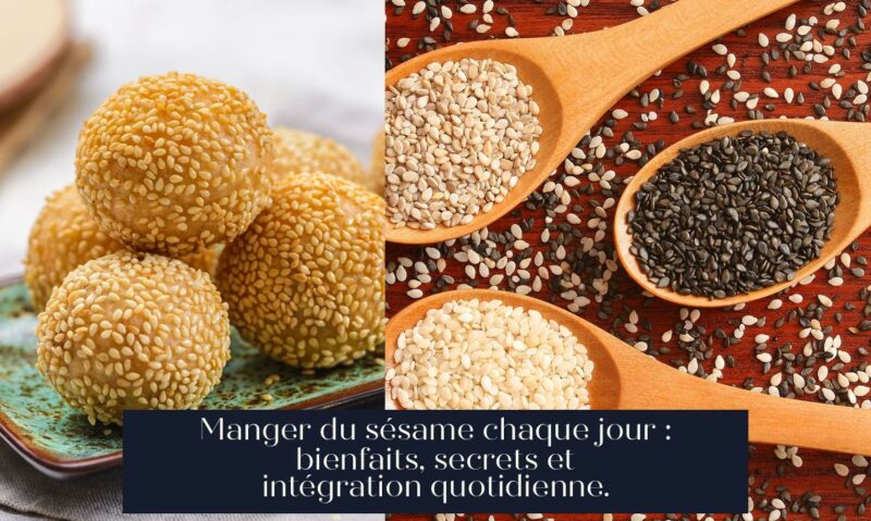 Manger du sésame chaque jour : bienfaits, secrets et intégration quotidienne.