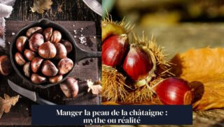 Manger la peau de la châtaigne : mythe ou réalité