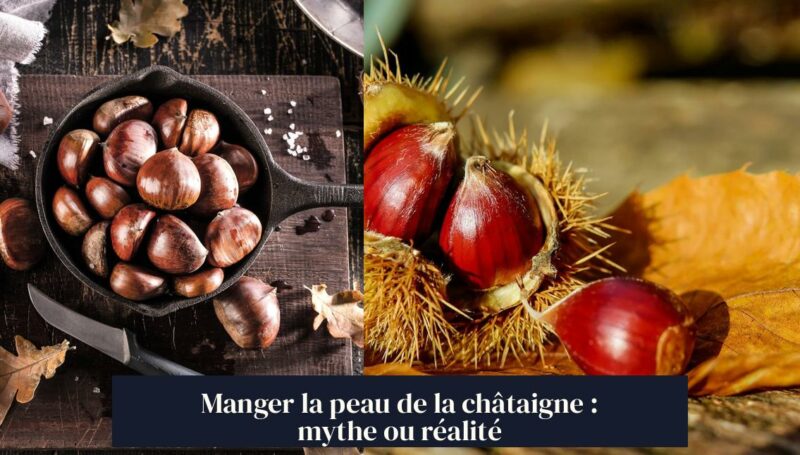 Manger la peau de la châtaigne : mythe ou réalité