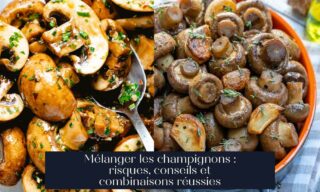 Mélanger les champignons : risques, conseils et combinaisons réussies