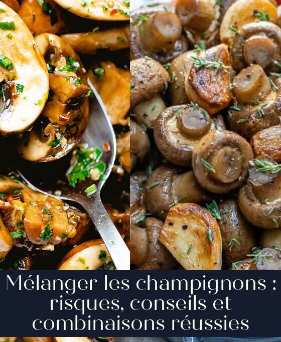 Mélanger les champignons : risques, conseils et combinaisons réussies